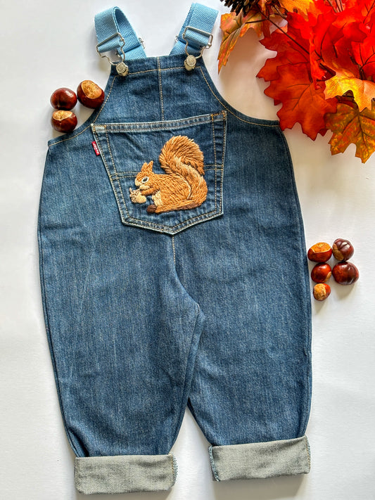 Squirrel Dungarees, 1-2 years