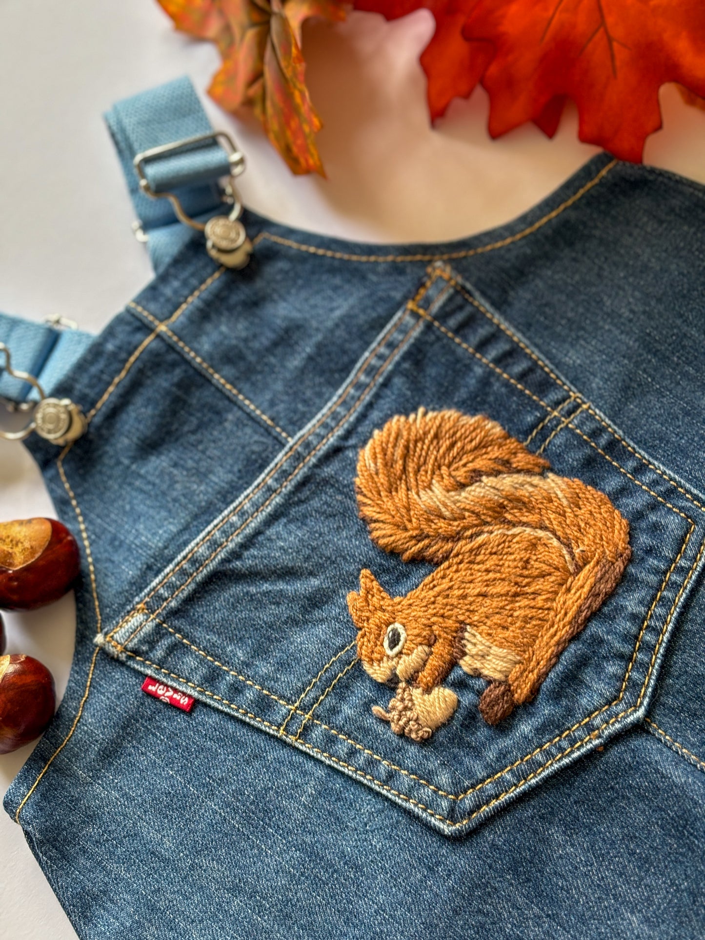 Squirrel Dungarees, 1-2 years