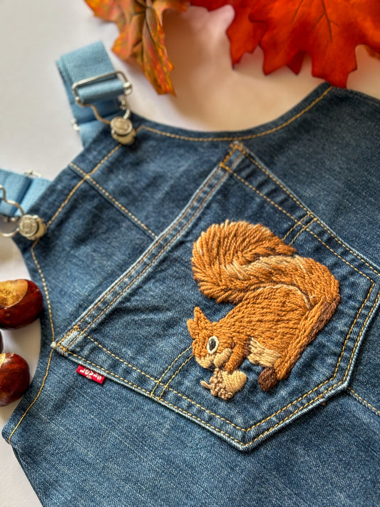 Squirrel Dungarees, 1-2 years