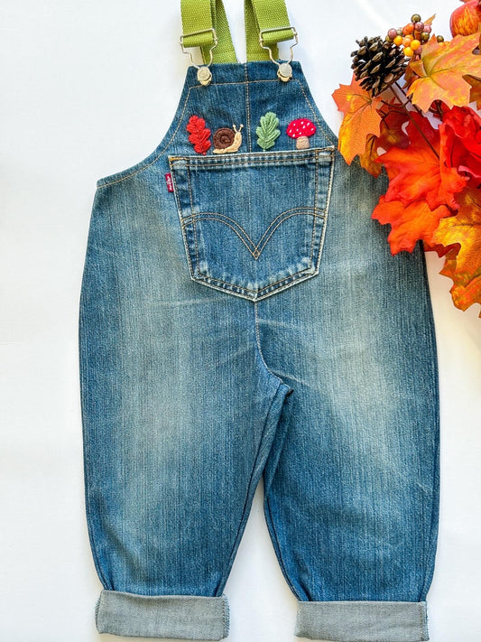 Leaves Dungarees, 2-3 Years